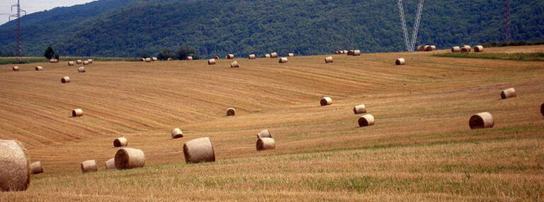 Slovakia_Sedlice_54_1
